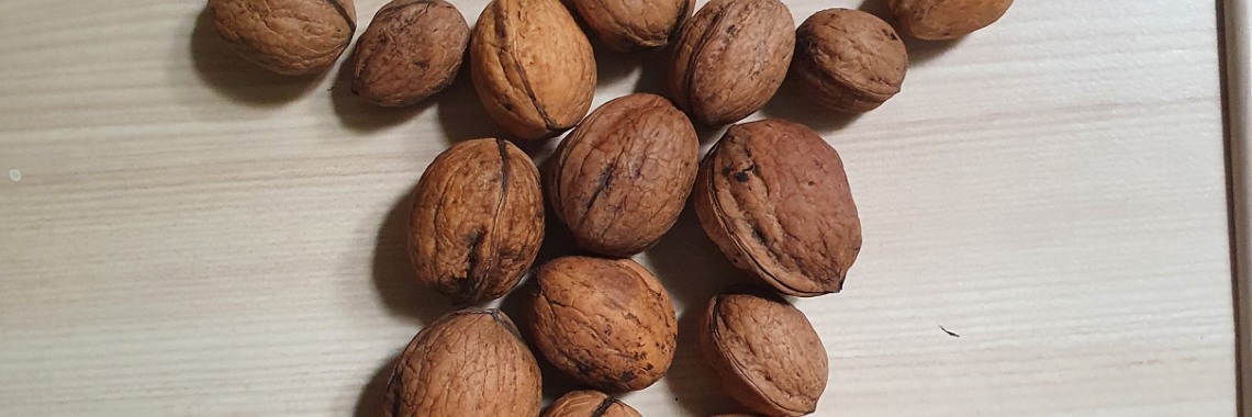 Als de noot het hoogst is | Hans van Gemert