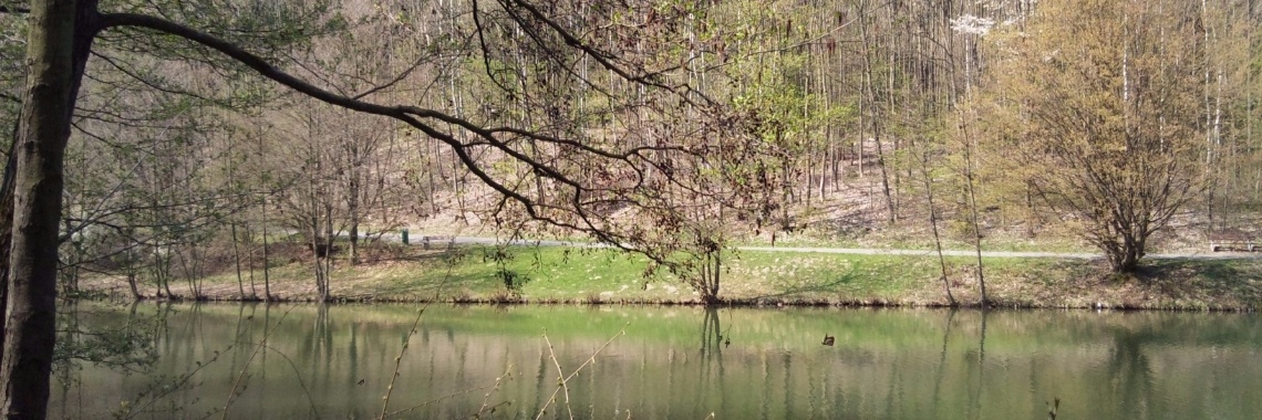 April-elfje | Hans van Gemert