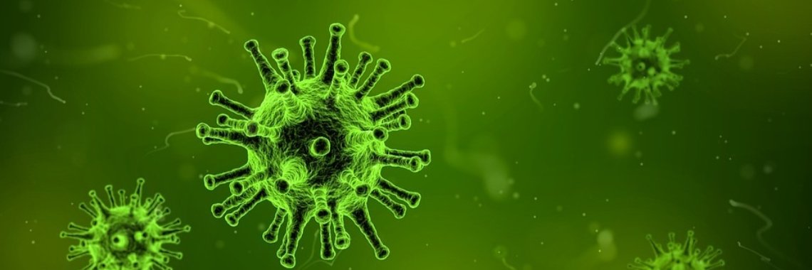 Blaf (E.D.I.T) | Hans van Gemert