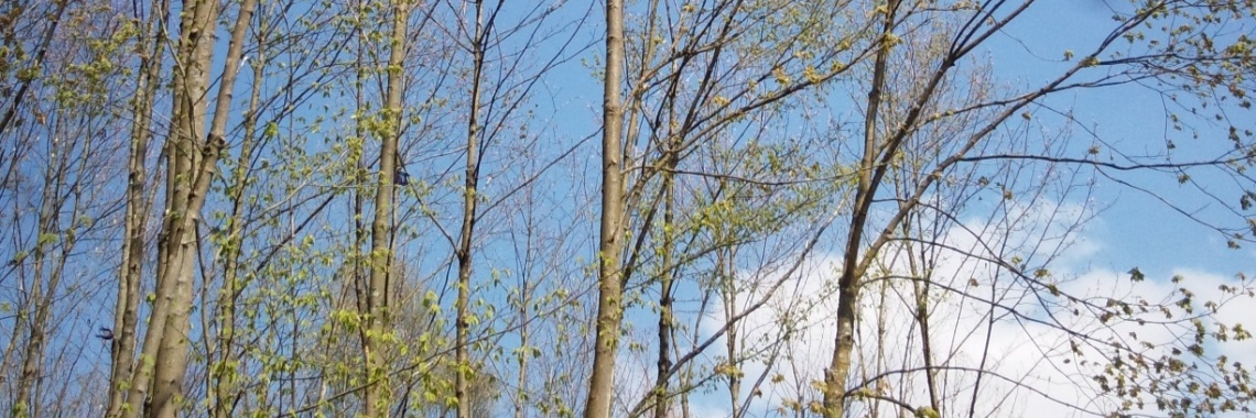 De lentewandeling van oom en tante (2) | Hans van Gemert