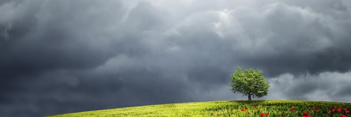 De lentewandeling van oom en tante (4) | Hans van Gemert