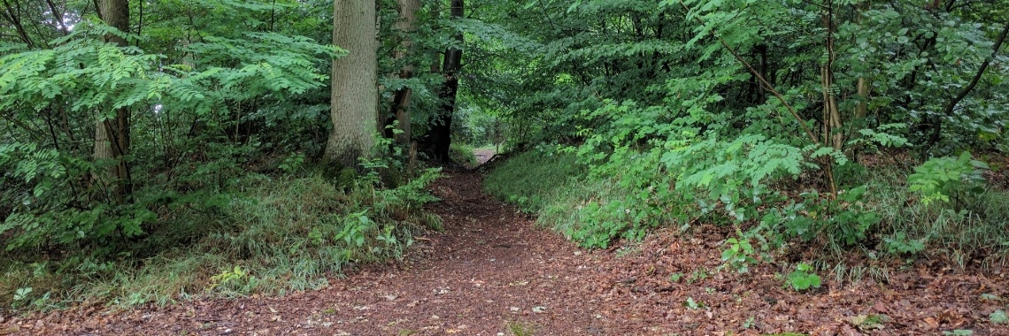 De lentewandeling van oom en tante (6) | Hans van Gemert