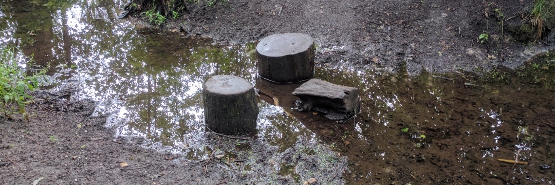 De lentewandeling van oom en tante (7) | Hans van Gemert