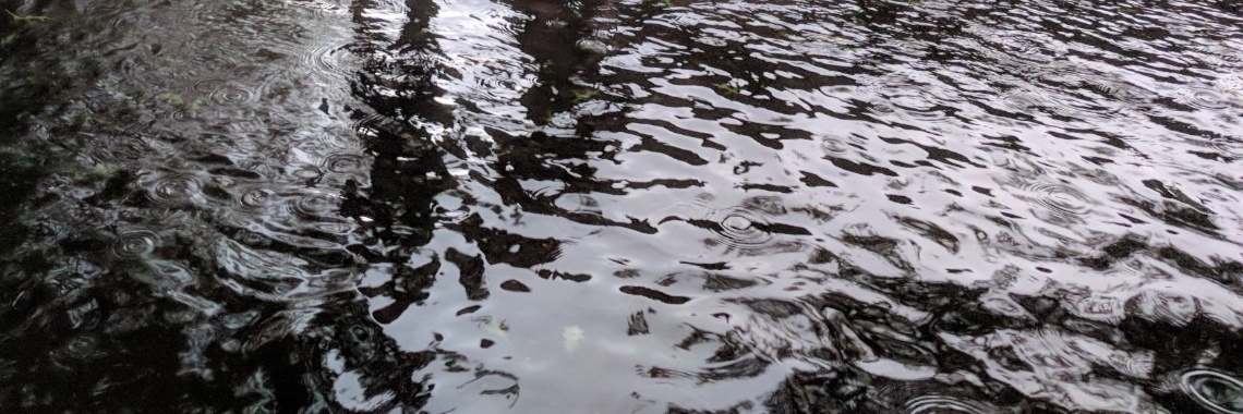 De lentewandeling van oom en tante (8) | Hans van Gemert