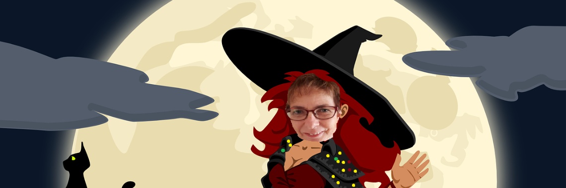 De Magische Toverdress | Hans van Gemert