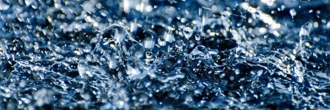 De natte verrassing | Hans van Gemert