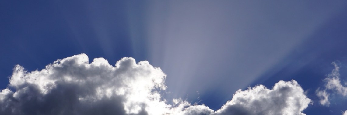 Deze woorden | Hans van Gemert