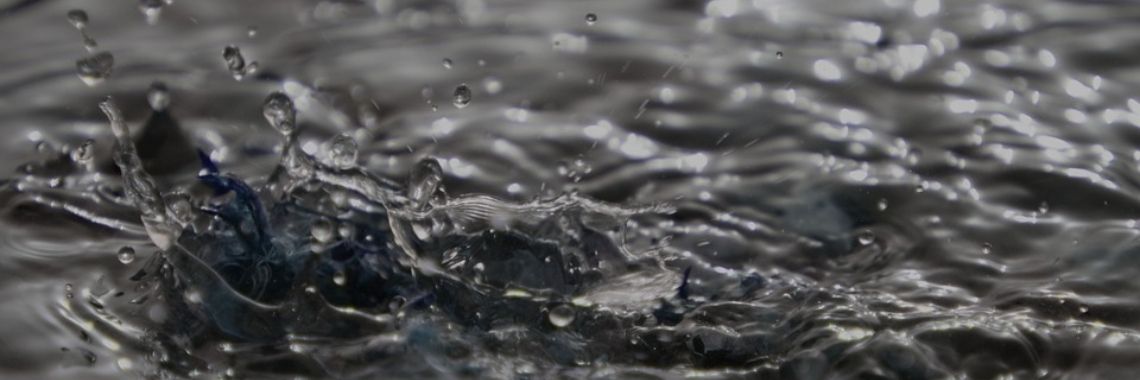 Drama’s in de regen | Hans van Gemert