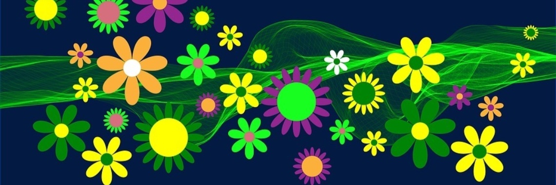 Een brief van de notaris | Hans van Gemert