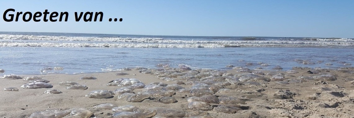 Een kaartje, altijd leuk | Hans van Gemert