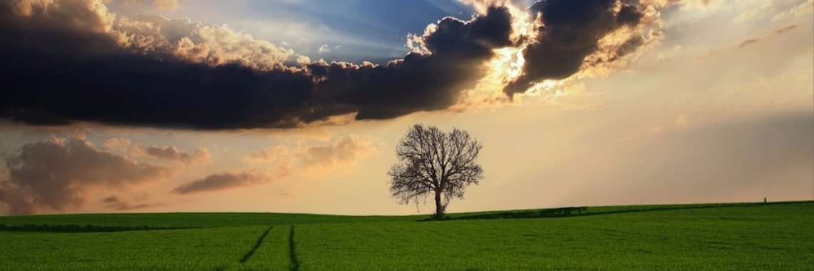 Een nieuw huis op het platteland | Hans van Gemert