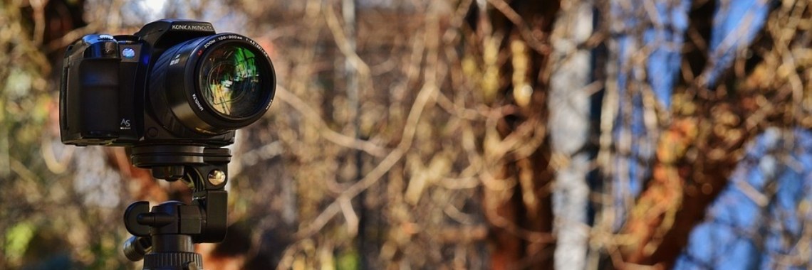 Een ontdekking achter de kast | Hans van Gemert