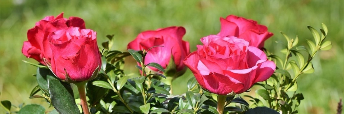 Eindelijk (2) | Hans van Gemert