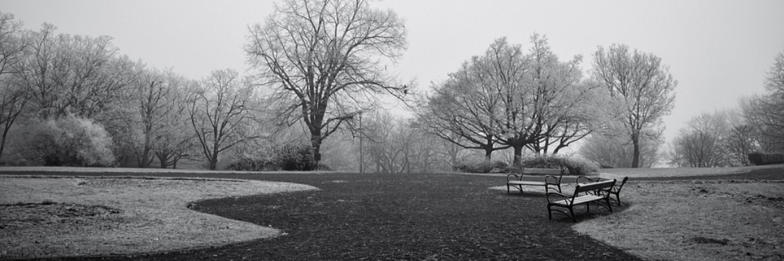 Glad genieten | Hans van Gemert