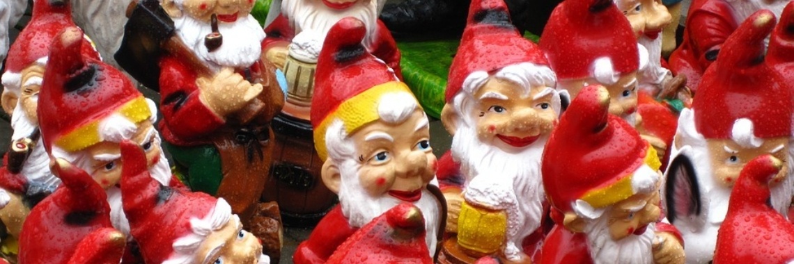 Het is feest in het kabouterland | Hans van Gemert