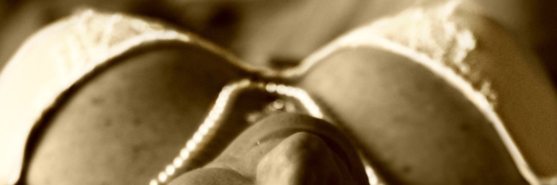 Het perfecte uitzicht | Hans van Gemert