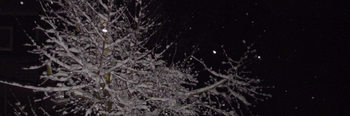 Witte dans | Hans van Gemert