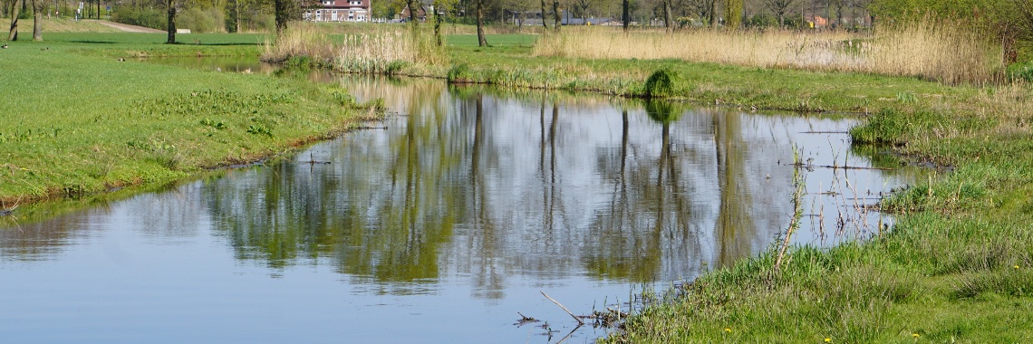 Ja hoor, ik moet... | Hans van Gemert