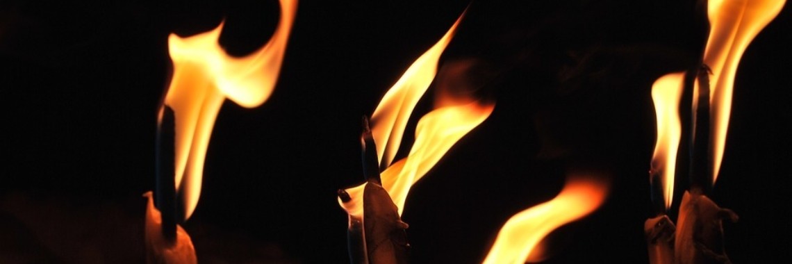 Kom maar in mijn web … | Hans van Gemert