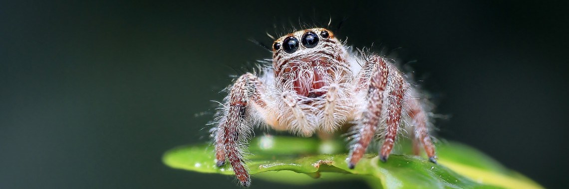 Mijn modecreatie | Hans van Gemert