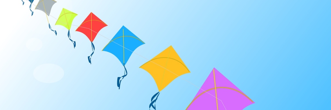 Mijn vliegeravontuur | Hans van Gemert