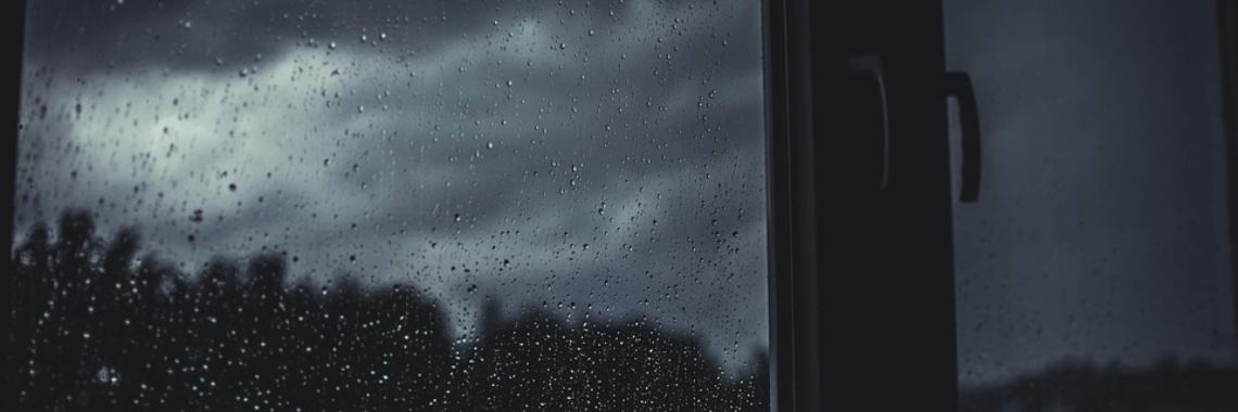 Natuurlijk weet tante Coby dat zeker | Hans van Gemert