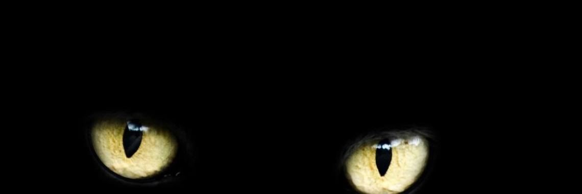 Oom Frits nadert de schaduw | Hans van Gemert