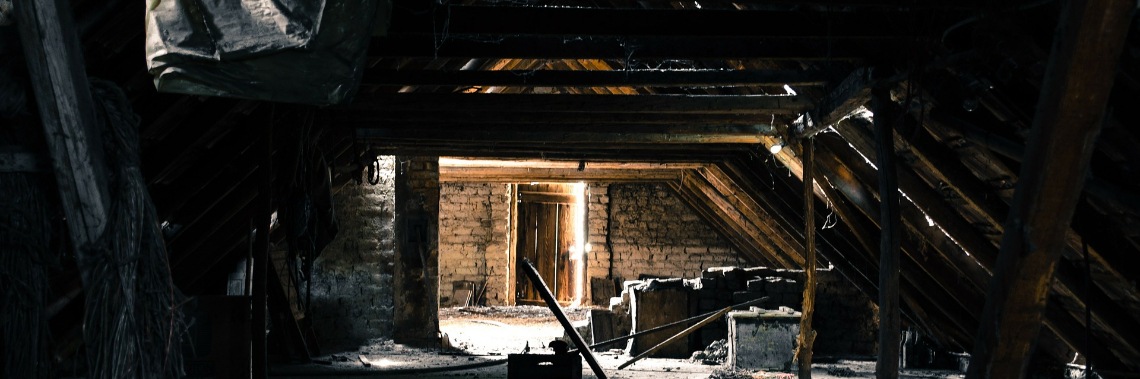 In the attic | Hans van Gemert