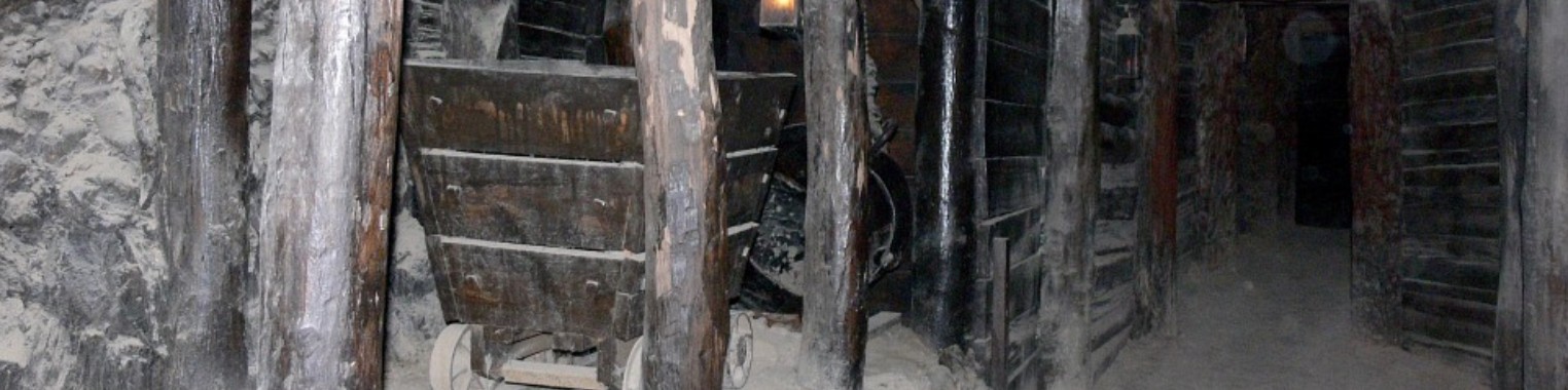 Opnieuw naar de mijn | Hans van Gemert