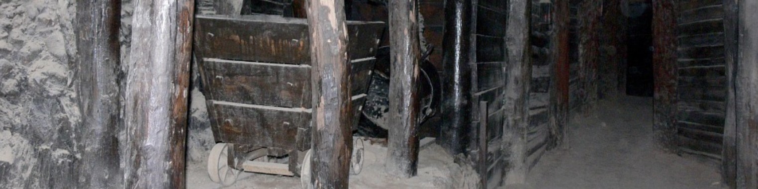 Opnieuw naar de mijn (2) | Hans van Gemert