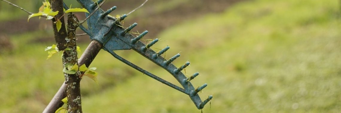 Pak hem, Frits! | Hans van Gemert