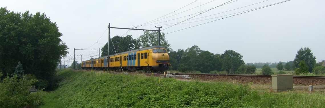 Paniek! | Hans van Gemert