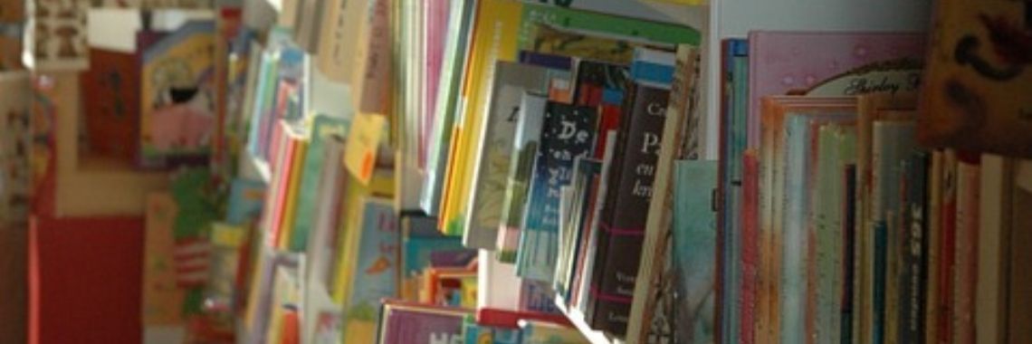 Vakantie in de boekwinkel | Hans van Gemert