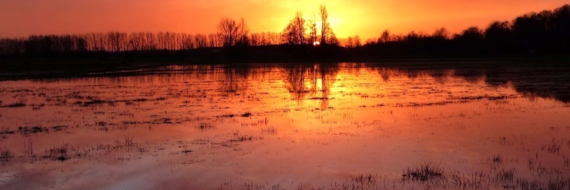 Veilig tegen het water | Hans van Gemert