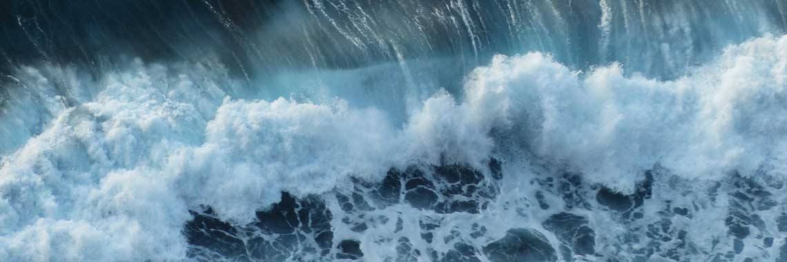 Vluchtheuvel naar het leven | Hans van Gemert