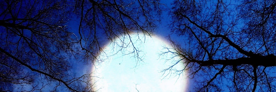 Voor altijd de mijne | Hans van Gemert