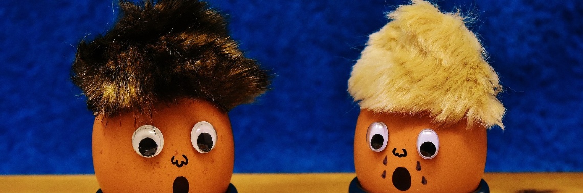 Voor de eitjes | Hans van Gemert