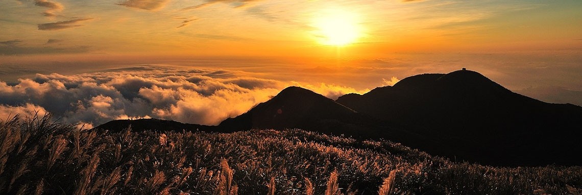 Vrijdagavond | Hans van Gemert