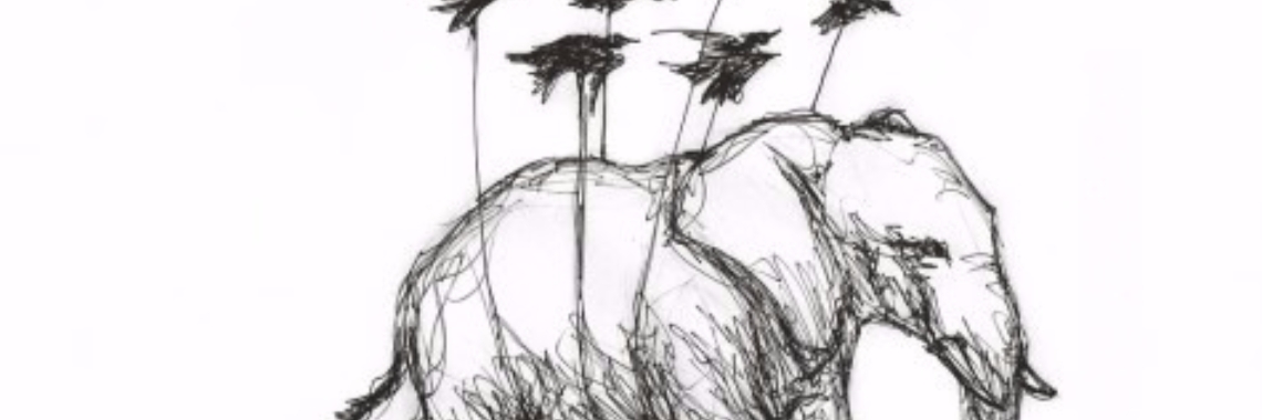 Beauty meets us #3 | Stille Woorden