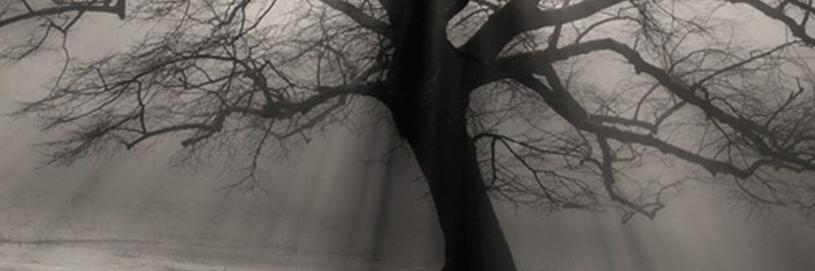 Spannend.....deel 3 | Kiki Kim Hier