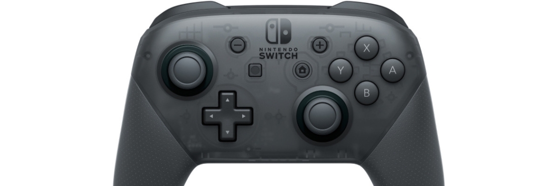 Nintendo Switch pro controller blog! | politiek en natuur