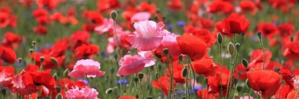 Blij en vrolijk! | Je weet wel...Karin!