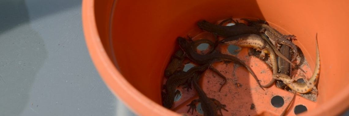 Blije dagen | Je weet wel...Karin!