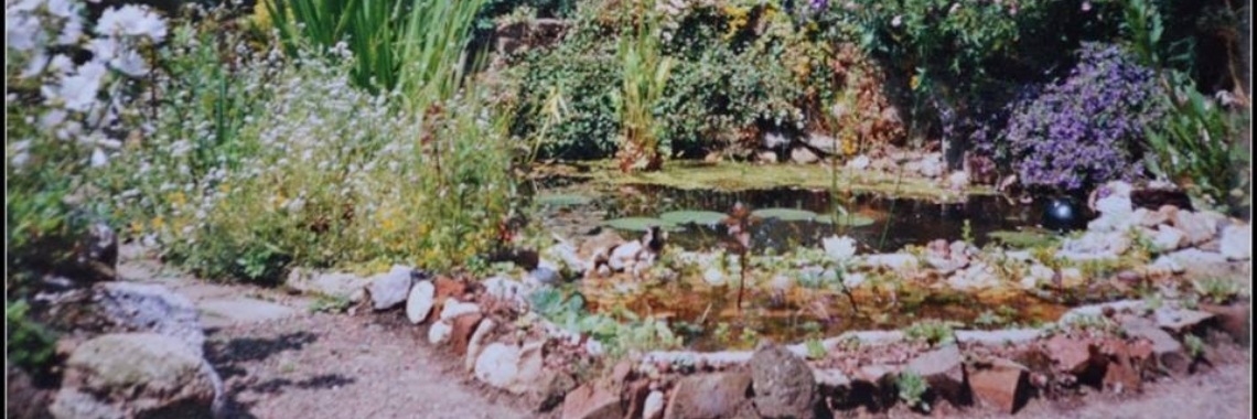 d Tuin na 1991 | Je weet wel...Karin!