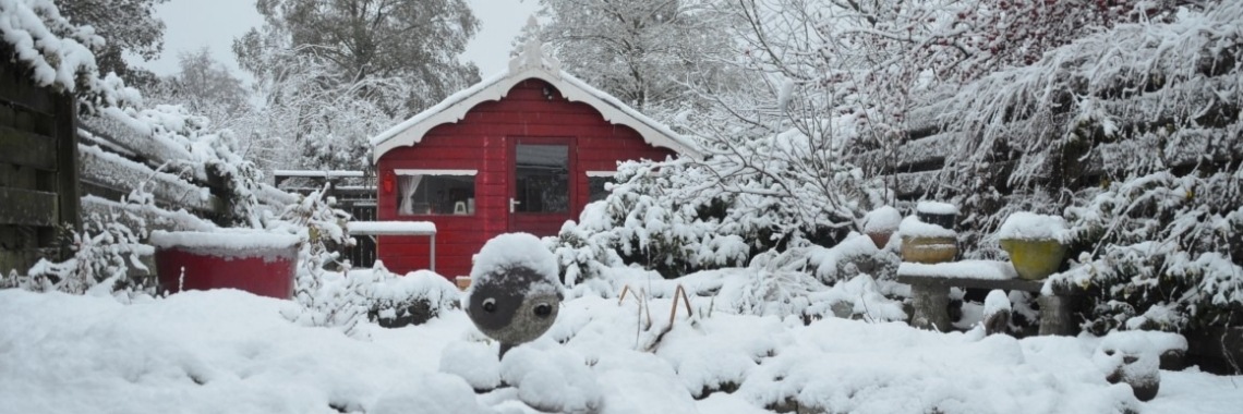 De eerste sneeuw van 2017 | Je weet wel...Karin!