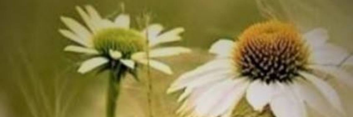 de Liefde | Je weet wel...Karin!