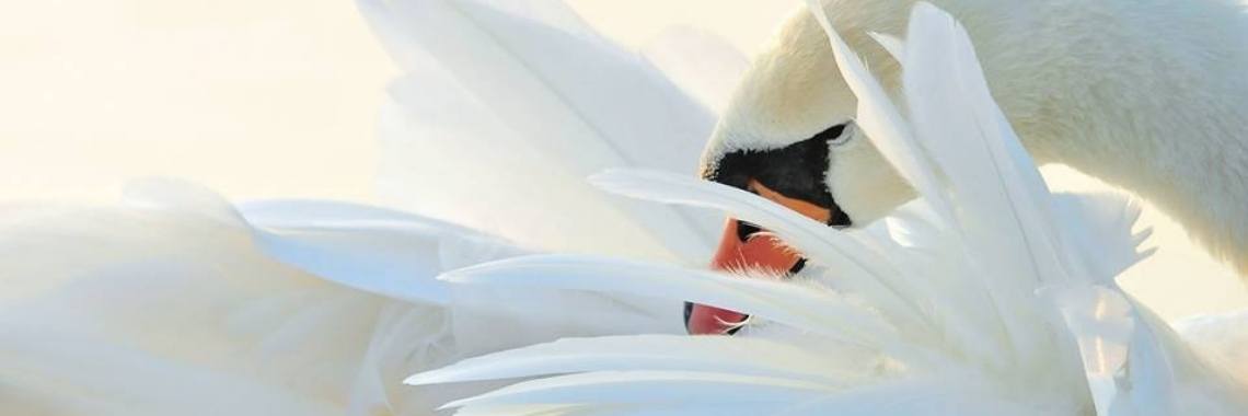 De mens! | Je weet wel...Karin!