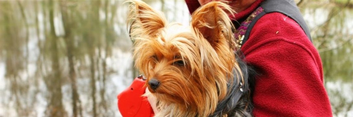 Dierenmanieren | Je weet wel...Karin!