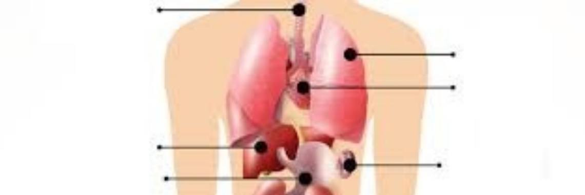 Een andere kijk op orgaandonatie | Je weet wel...Karin!