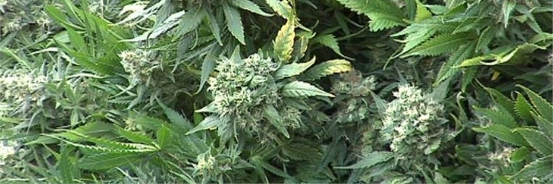 Een lachcik | Je weet wel...Karin!